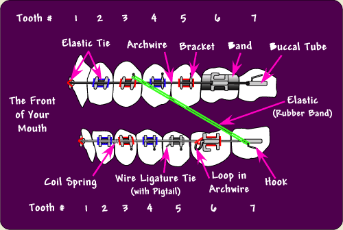 what is orthodontics